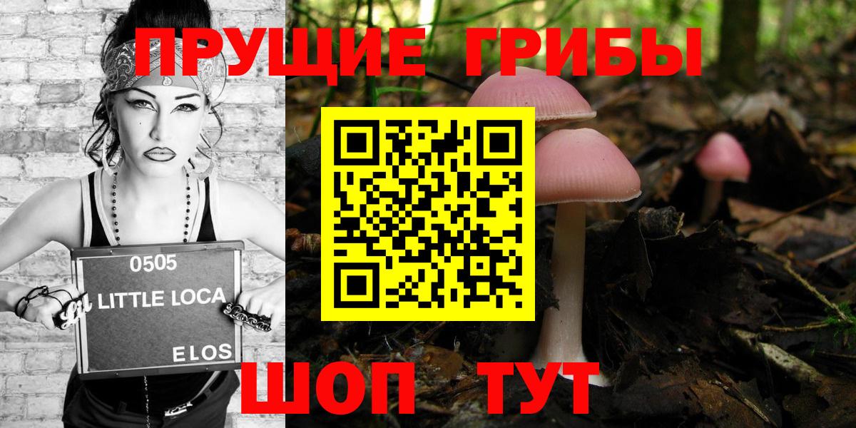 Геленджик  купить  сайты  Вход с VPN  Псилоцибиновые грибы прущие грибы 