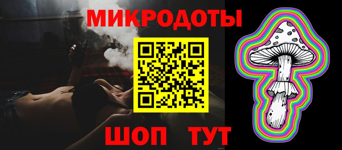 Галлюциногенные грибы Psilocybine cubensis Геленджик